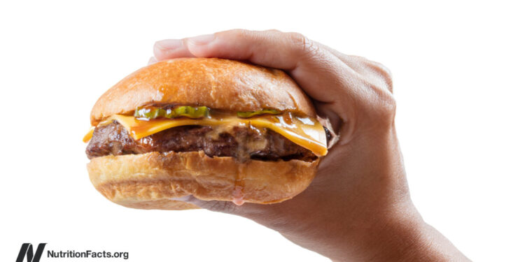 How Many Minutes of Life Does a Burger Cost?
