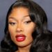 Meow! Megan Thee Stallion's Platinum Cat-Ear Updo Couldn't Be Cuter—See the Photos